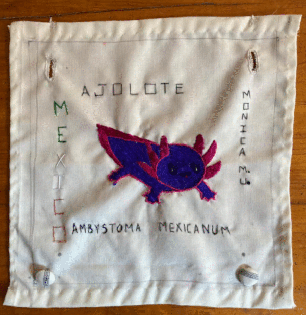 Ajolote